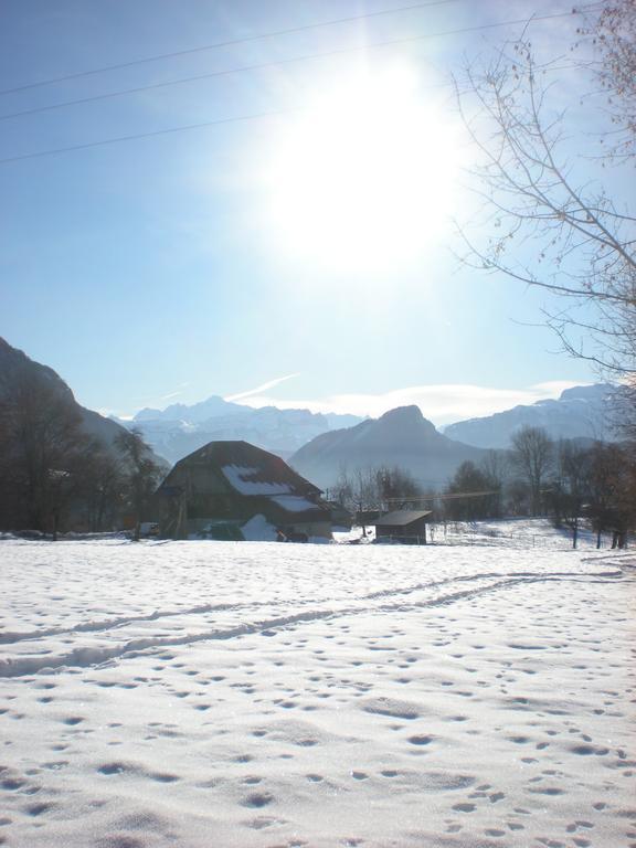 Les Paddocks Du Mont Blanc Hotel Mieussy Екстериор снимка
